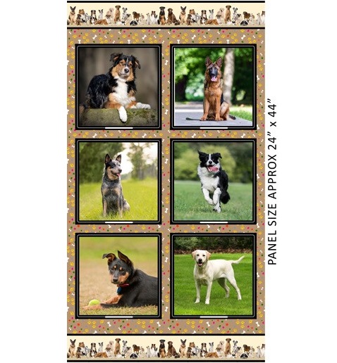 Canine Companions-panel A
