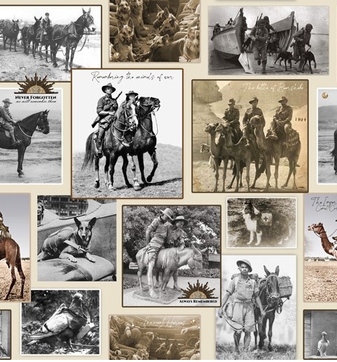 Animals of War-collage